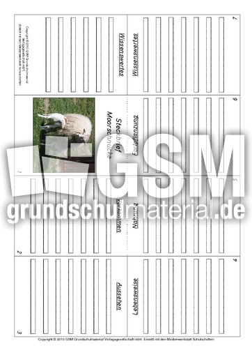 Faltbuch-Moorschnucke.pdf